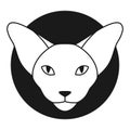 Oriental cat logo or icon. Oriental shorthair or Sphynx cat head in outline style. Front view. Vector