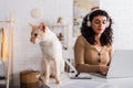 Oriental cat sitting near blurred freelancer