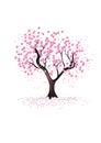 The Oriental cherry