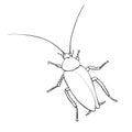 Oriental cockroach, macro of insects. Pest control. Vector outline illustration in cartoon doodle style, isolated