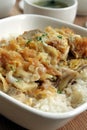 Oriental Delicacy - Chicken Katsu Don Royalty Free Stock Photo