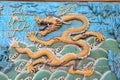 Oriental dragon of Beijing Forbidden City Royalty Free Stock Photo