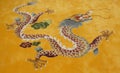 Oriental dragon,symbol isolated