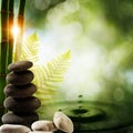 Oriental eco backgrounds Royalty Free Stock Photo