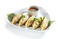 Oriental Fried Dim Sum, Gyoza, Dim Sum or Jiaozi Isolated Royalty Free Stock Photo