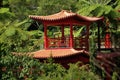 Oriental garden, Madeira Royalty Free Stock Photo