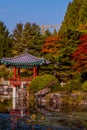 Oriental gazebo next to pond Royalty Free Stock Photo