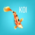 Oriental Golden Koi Fish With Black Spots Vector