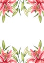 Oriental hybrid lilies. Pink lily flowers and buds. Brochure design template. Watercolor hand-drawn A4 layout.