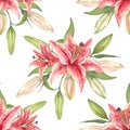 Oriental hybrid lilies. Pink lily flowers, leaves and buds. Watercolor seamless pattern. Hand-drawn illustration