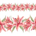 Stargazer Lilies. Pink lily flowers. Watercolor seamless border. Artistic illustration on white background Royalty Free Stock Photo