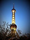 The Oriental Pearl Radio & Television Tower in Shanghai city, China. Night and bright colours Royalty Free Stock Photo