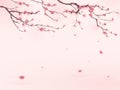 Oriental style painting, cherry blossom in spring