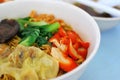 Oriental style pork dumpling noodles