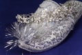 Oriental-style wedding shoe, small depth of sharpness