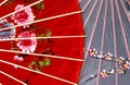 Oriental umbrella