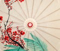 Oriental umbrella closeup Royalty Free Stock Photo