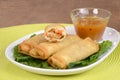 Oriental vegetable spring rolls