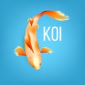 Oriental White Koi Fish With Orange Spots Vector