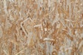 Oriented strand board Royalty Free Stock Photo