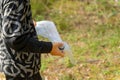 Orienteering athlete running through a summer forest with a map and compass. Royalty Free Stock Photo