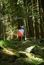 Orienteering Control Flag in Forest Setting Royalty Free Stock Photo