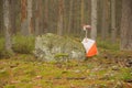 Orienteering Control Point with Electronic Punching System Behind Forest Stone Royalty Free Stock Photo