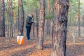 Orienteering. Control point Prism and composter for orienteering. The athlete is guided by the terrain