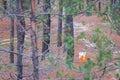 Orienteering. Control point Prism and composter for orienteering in the autumn forest