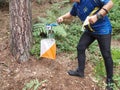 Orienteering marker and orange white box in a forest