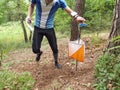 Orienteering marker and orange white box in a forest