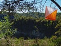 . Orienteering white orange flag in forest within local run