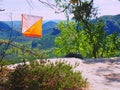 . Orienteering white orange flag in forest within local run