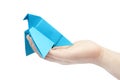 Origami. Blue dove sitting on the women's hand.