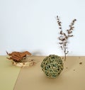 Photo still life with items from dry plants