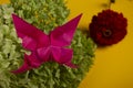Origami butterfly on a green bush in a basket on a colored background beautiful bouquet studio close shot handmade