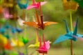 Origami Crane Curtain