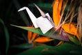 Origami crane in plant nature setting Royalty Free Stock Photo