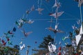 Cranes hung on a square as a symbol of peace on the 77 Anniversary of the Hiroshima Bombing