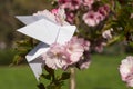 Origami dove on blooming japanese cherry tree