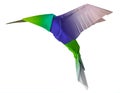 Origami flying hummingbird