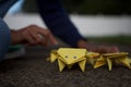 origami frogs. playing with origami animals in the backyard. Royalty Free Stock Photo