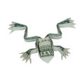 Origami FROG Money Real One Dollar Bill Isolated