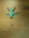 Origami Frog on wooden background