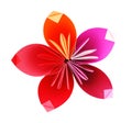 Origami paper flower Royalty Free Stock Photo