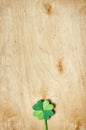 Origami paper green clover shamrock leaf on light plywood background Royalty Free Stock Photo