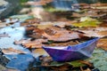 Origami paper ship floating in autumn leaves in water Royalty Free Stock Photo