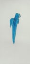 origami parrot bird created by children, from the side angle Royalty Free Stock Photo