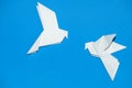 Origami pigeons on a blue background.