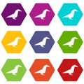 Origami raven icons set 9 vector